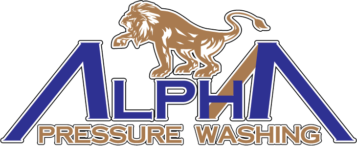 Terminus Systems Inc dba Alpha Pressure Wash