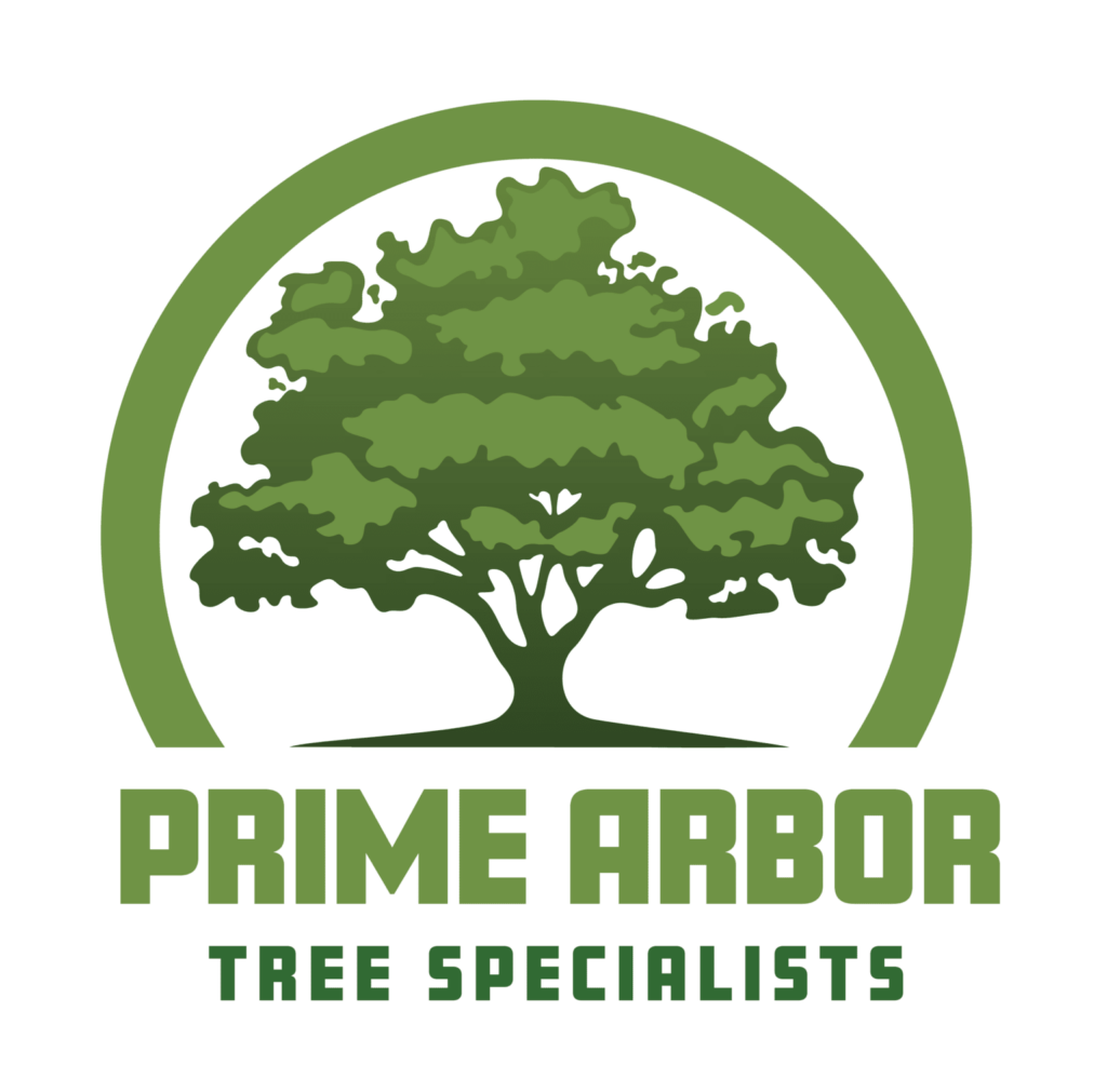 Prime Arbor LLC