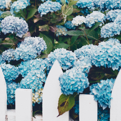 Universal Eye 01 400